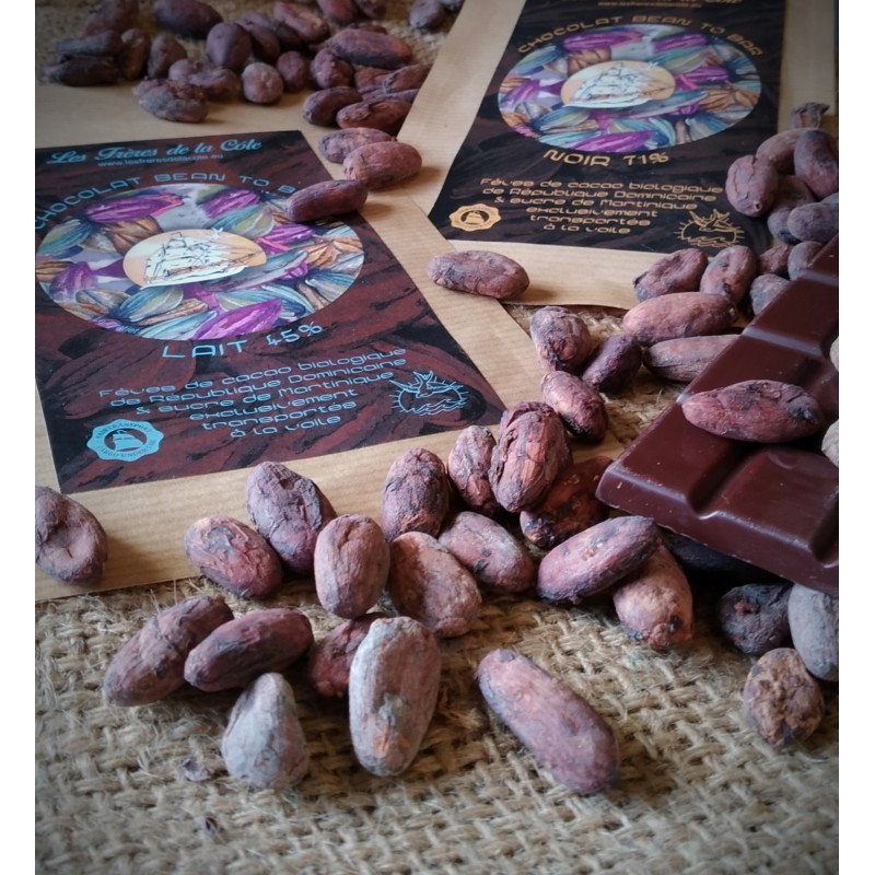Chocolat des Frères de la côte LAIT 45% Cacao "Bean to Bar" (de la fève à la tablette)