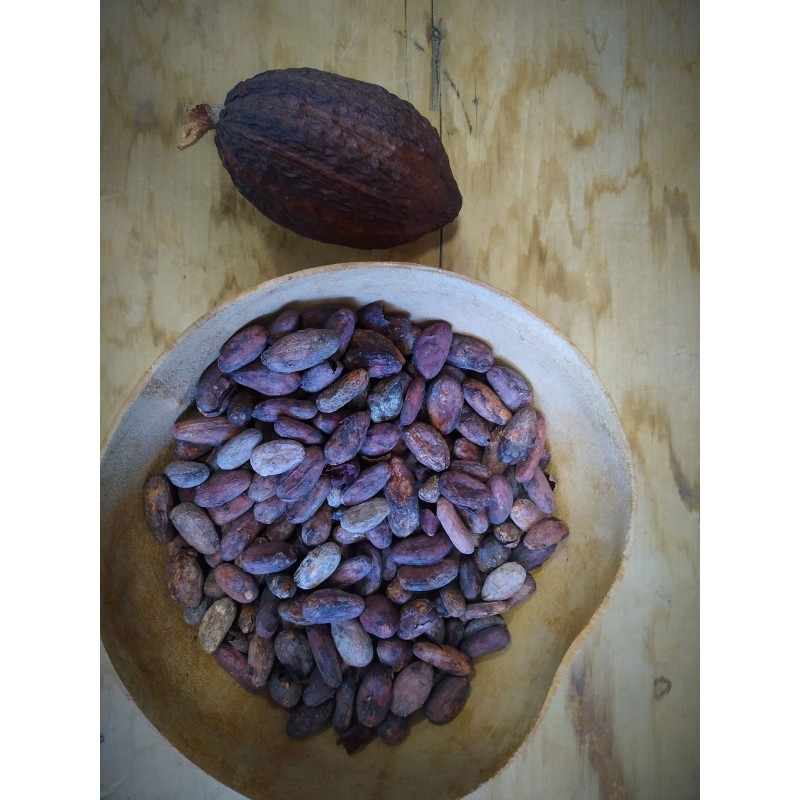 Fèves de cacao biologiques torréfiés