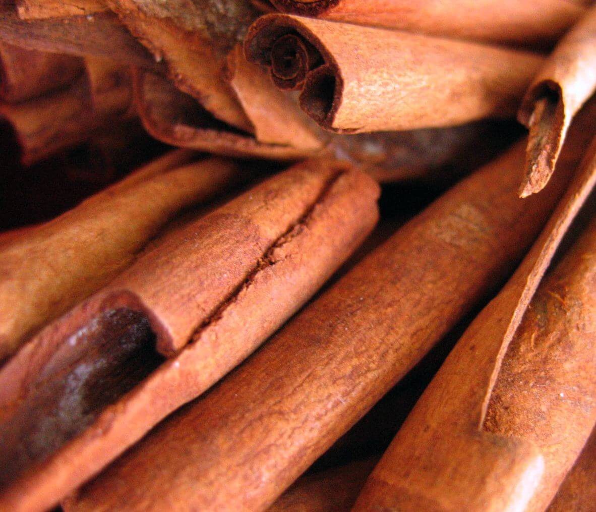 CANNELLE Martiniquaise